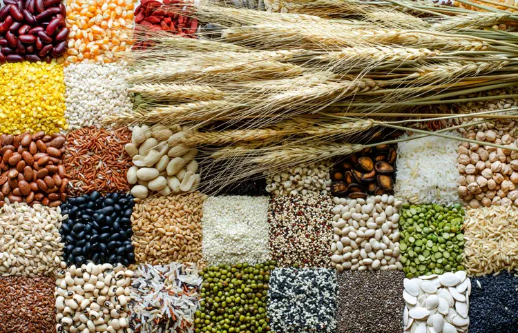 Agriculture & Raw Materials